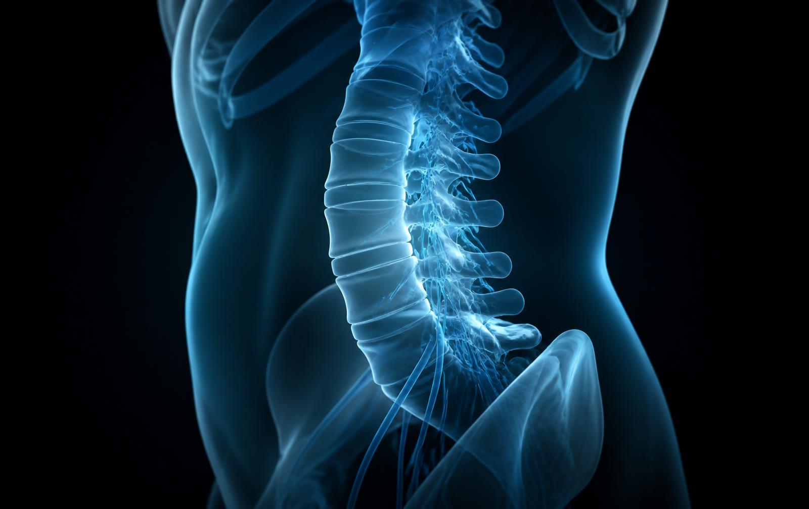 Doenças da Coluna Vertebral